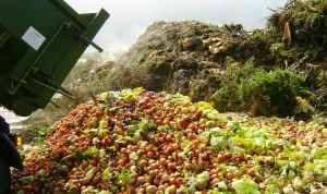 desperdicio de alimentos